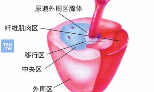 腮腺炎吃头孢拉定胶囊有用吗-15岁男孩腮腺炎能不能吃头孢克肟-腮腺炎吃头孢地尼管用吗,中国腮腺炎吃头孢克肟有效果吗网站